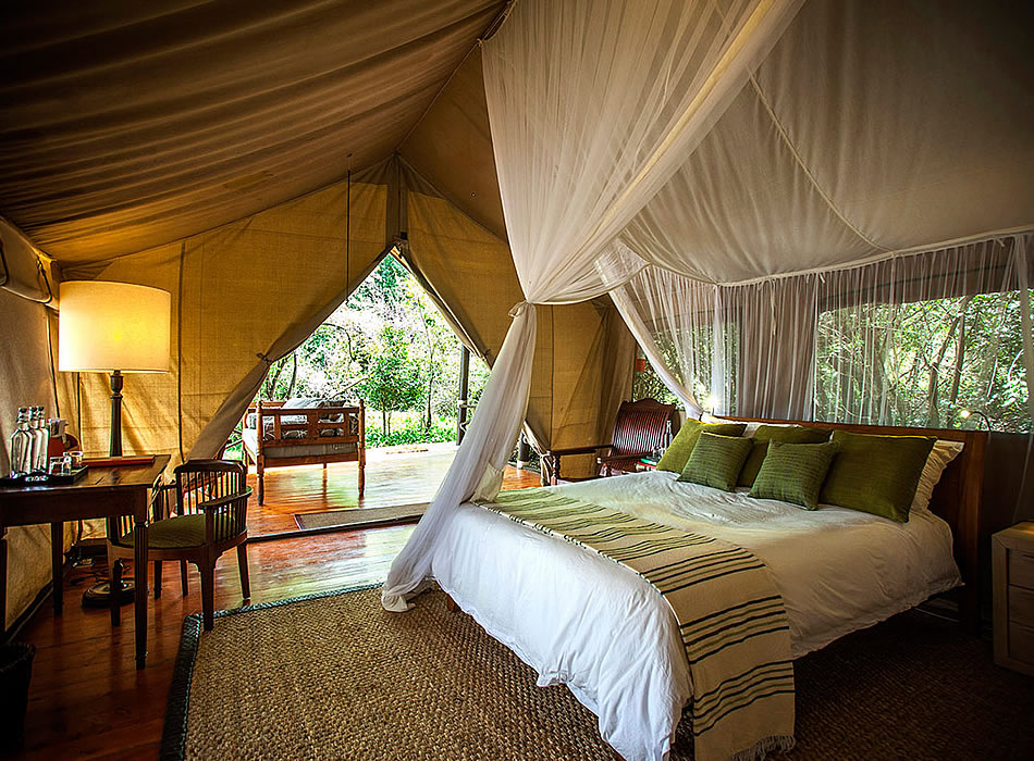 Maasai Mara Low Season Special Offers 2026