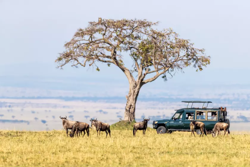 Maasai Mara 3 Days / 2 Nights Package